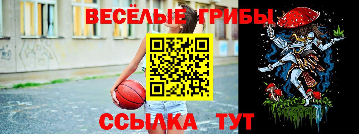 Сафоново  Галлюциногенные грибы Psilocybine cubensis  Вход с VPN 